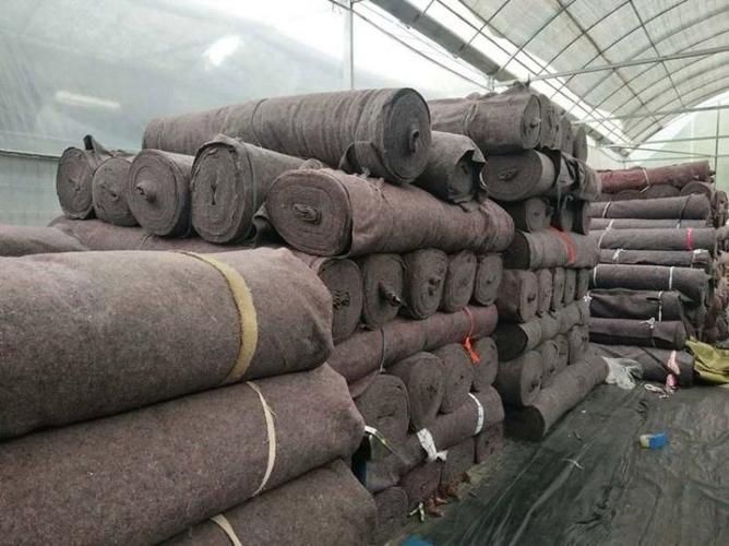郯城县大棚建设新宠 性价比土工布加工助力农业现代化